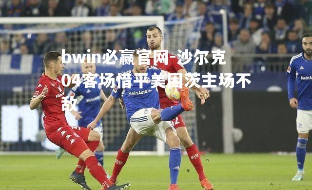 沙尔克04客场惜平美因茨主场不敌