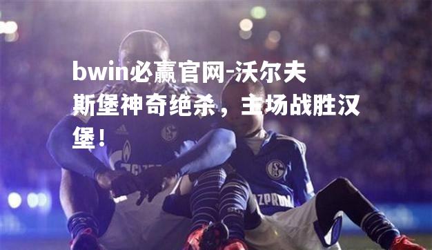 沃尔夫斯堡神奇绝杀，主场战胜汉堡！