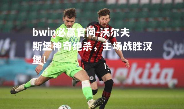 沃尔夫斯堡神奇绝杀，主场战胜汉堡！