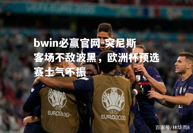 突尼斯客场不敌波黑，欧洲杯预选赛士气不振