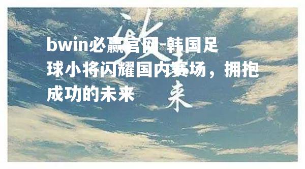 韩国足球小将闪耀国内赛场，拥抱成功的未来